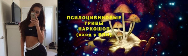 MESCALINE Аркадак