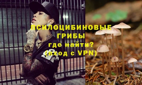 синтетический гашиш Арсеньев
