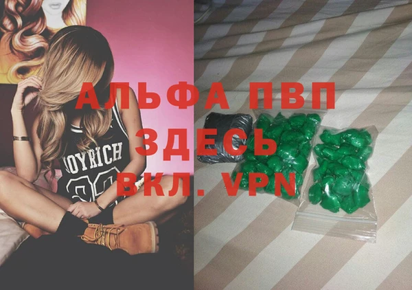 шишки Баксан