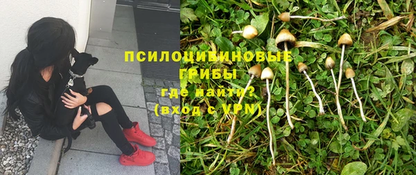 прущая мука Наволоки